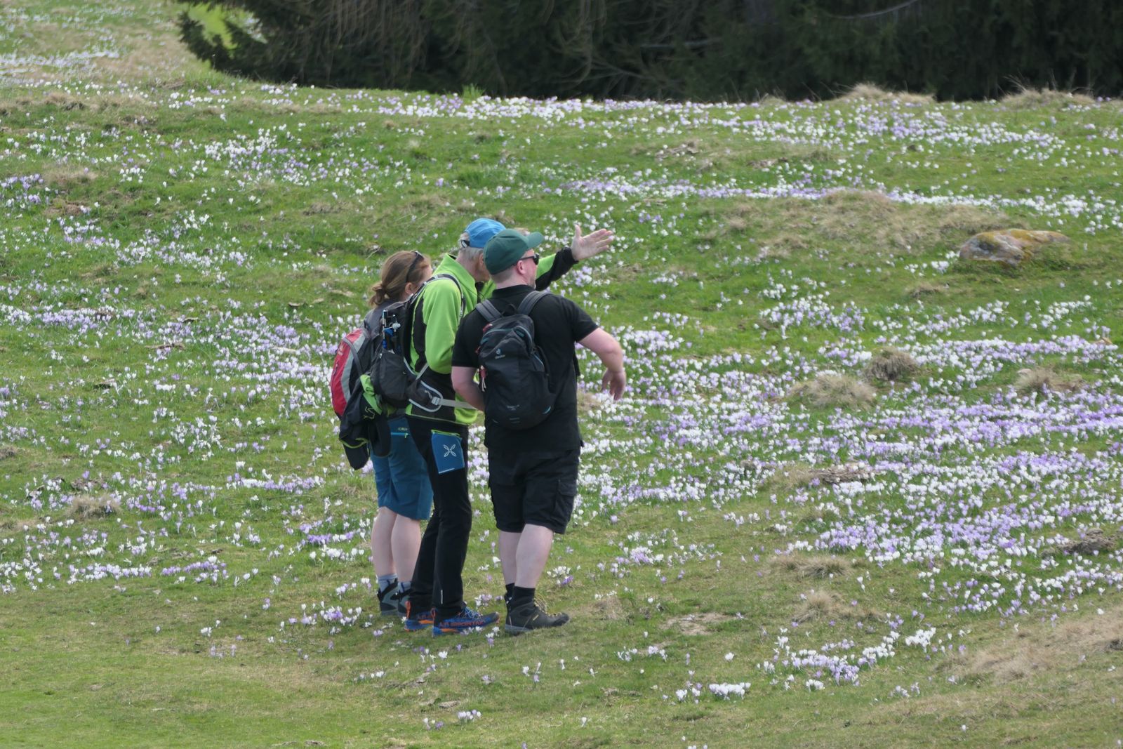 Frühlingswanderungen im Hotel Erika