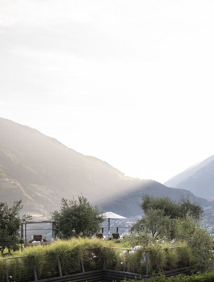 Offer: The Erika VIP weeks in spring - Erika