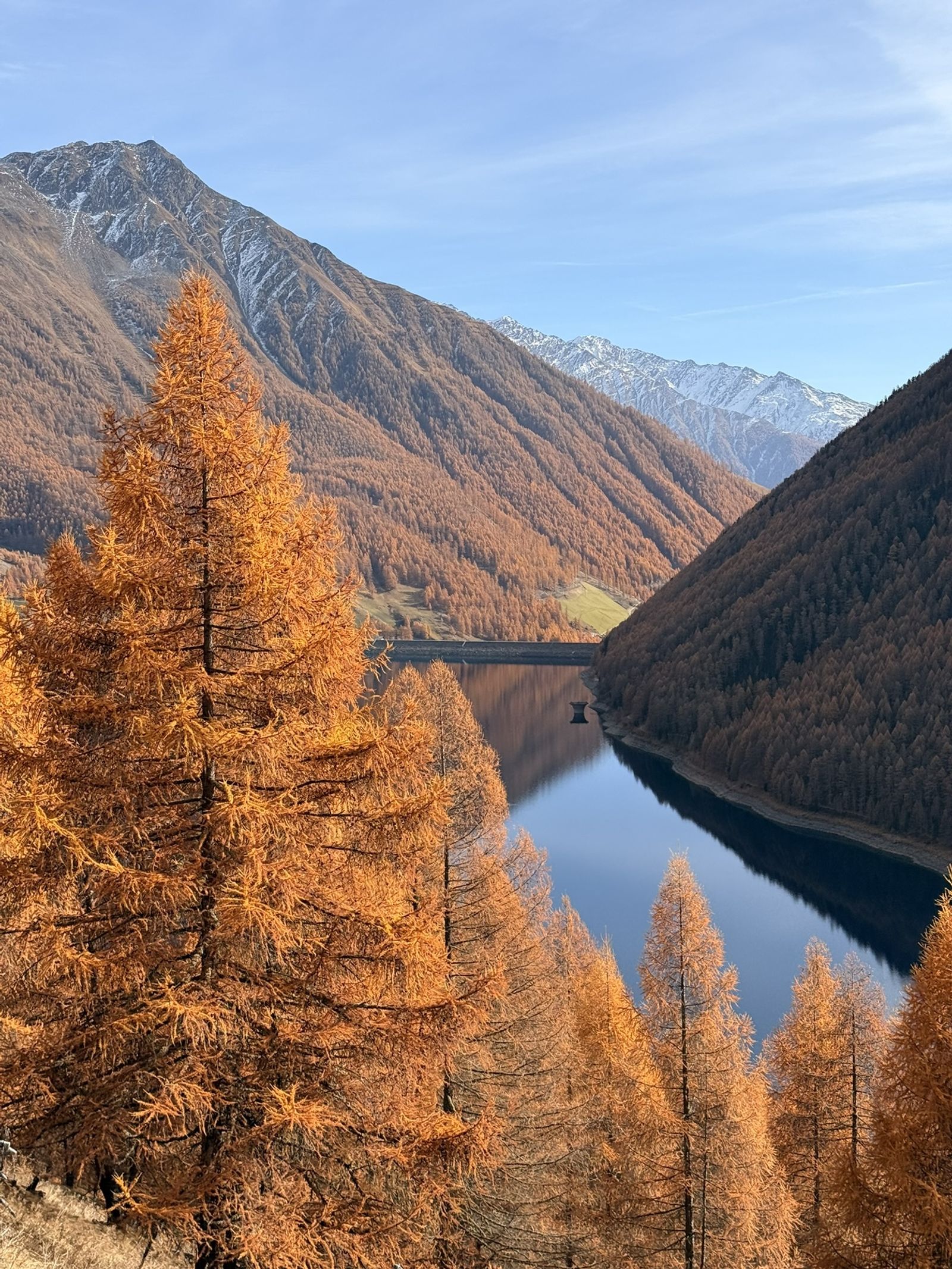 Goldener Herbst in Südtirol