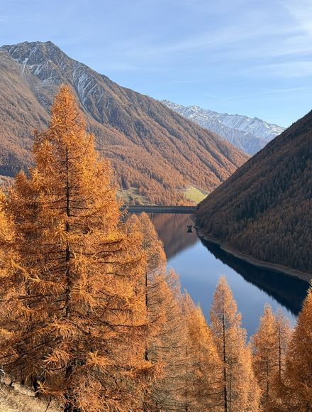 Angebot: Goldene Herbsttage in Südtirol - Erika