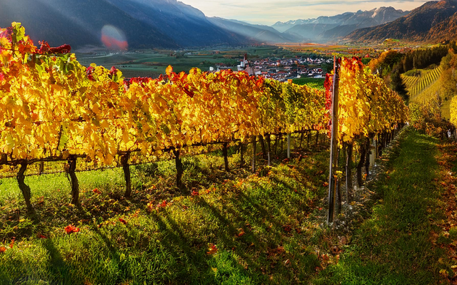 Herbstzeit im Geniessermonat image 3 - SPA & Relax Hotel Erika