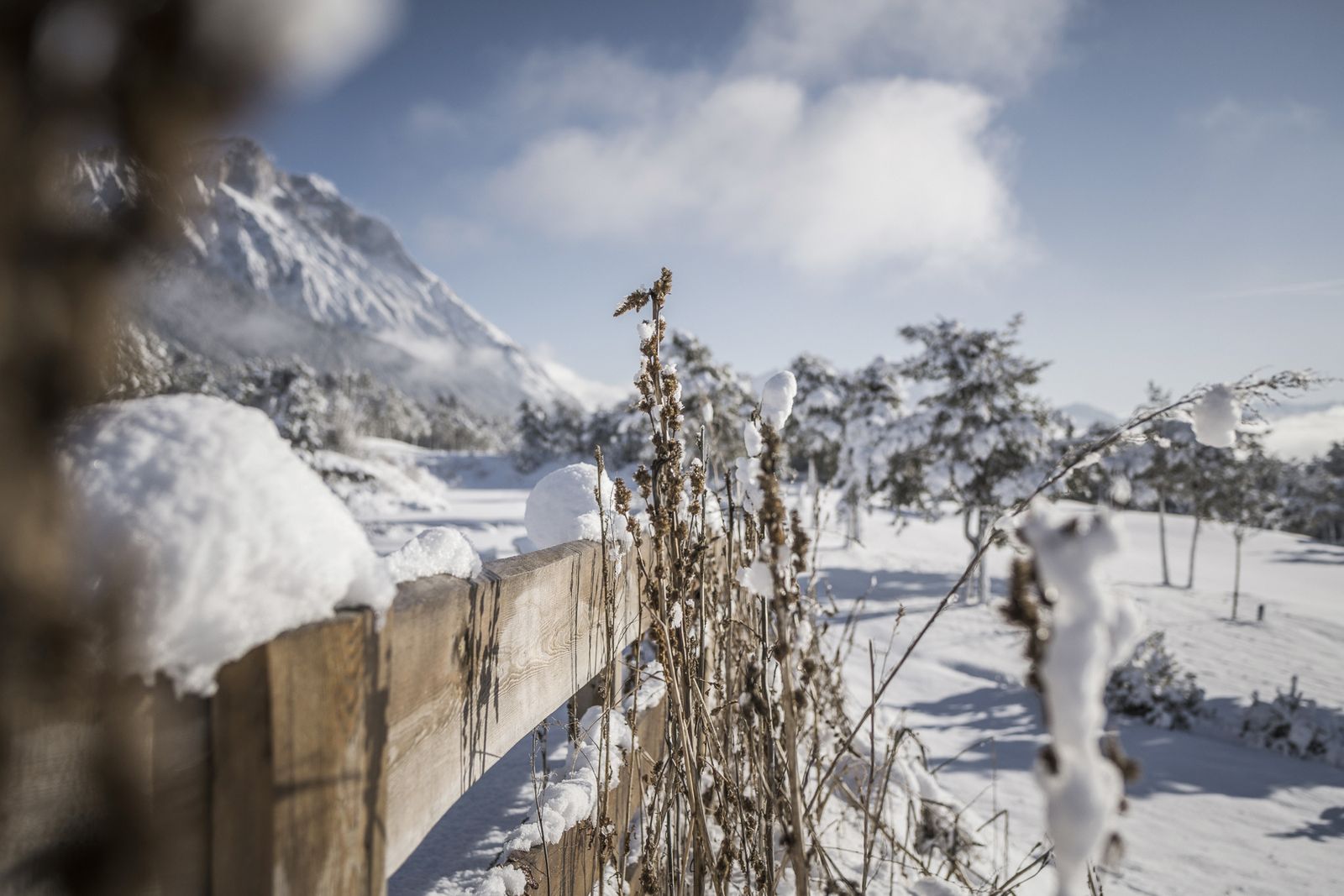 Neujahrs-Wochenende image 1 - Alpenresort Schwarz