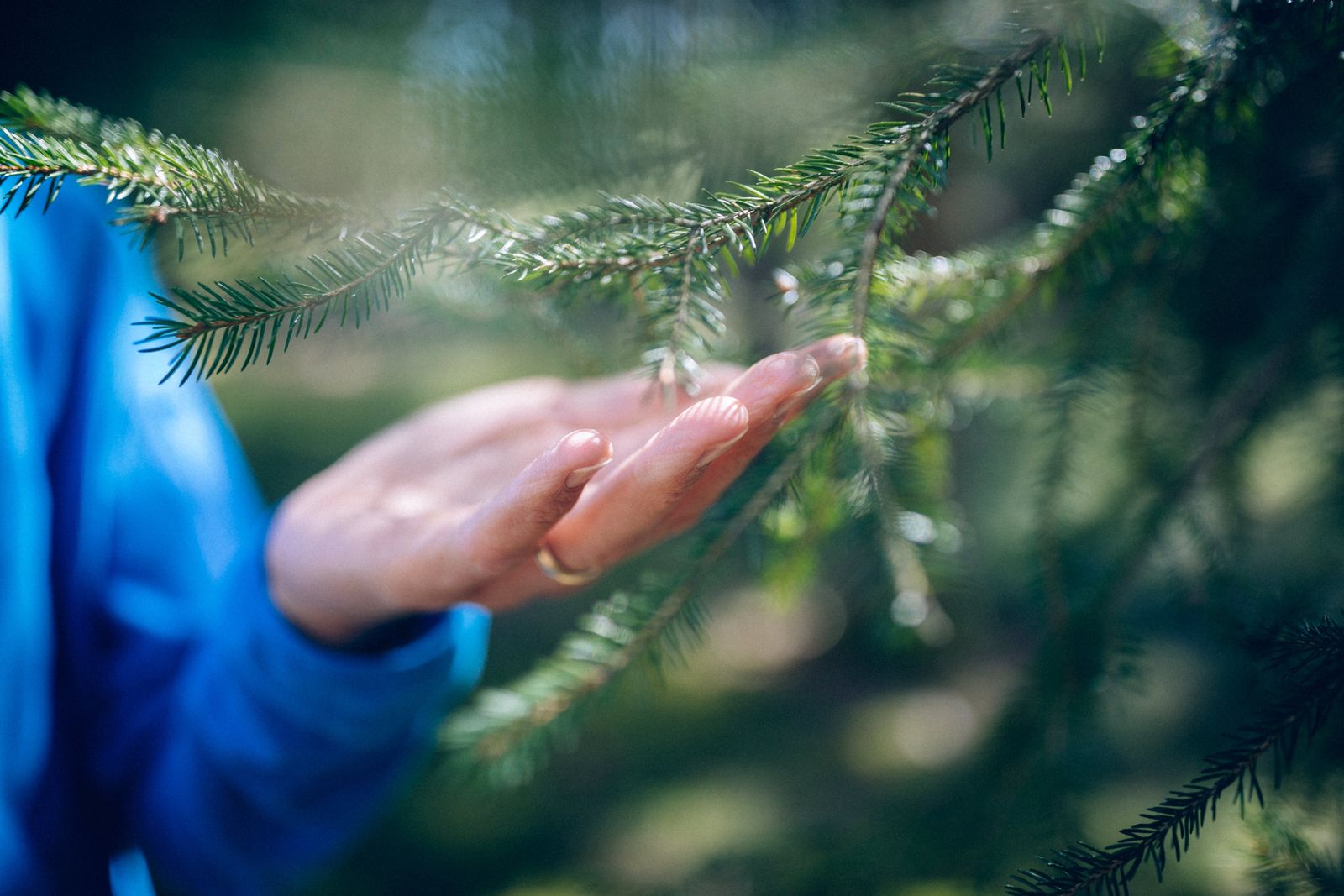 Sinne.Seele.Krafttage 2026 – ein Natur-Retreat für MICH image 1 - Alpenresort Schwarz