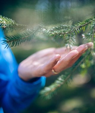 Angebot: Sinne.Seele.Krafttage – ein Natur-Retreat für MICH - Schwarz