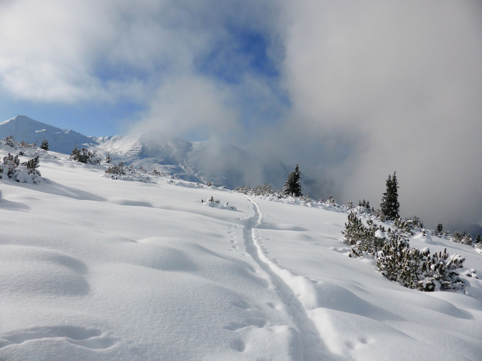 Ice Days mit Barbara image 1 - Alpenresort Schwarz