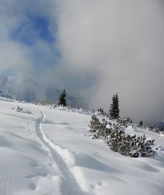 Angebot: Ice Days mit Barbara - Schwarz