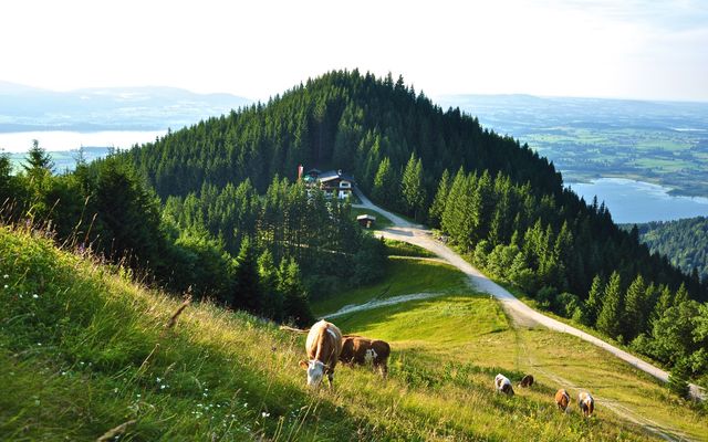 Yoga & Wandern Retreat image 5 - Hotel Das Rübezahl