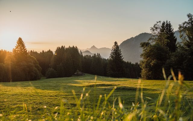Oldtimer-Tage im Allgäu image 4 - Hotel Das Rübezahl