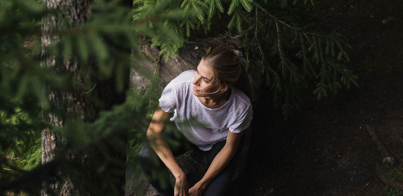 Waldklause : WALDTRÄUME