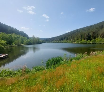 Offer: 20% early booking discount for your summer holiday incl. breakfast - Hotel Grüner Wald ****s