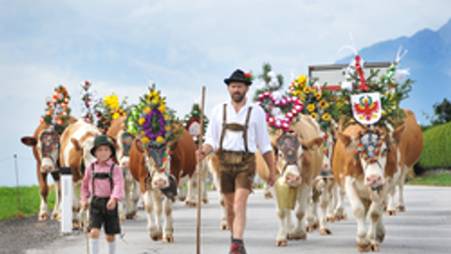 Almfest Tage im Alpbachtal