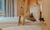 Berg Loft Suite 6/8