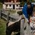 Familienzeit im Forsthofgut
