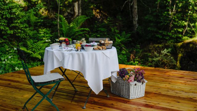 Wald Frühstück