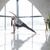 NEW ME  Yoga Retreat mit Sabine Gallei