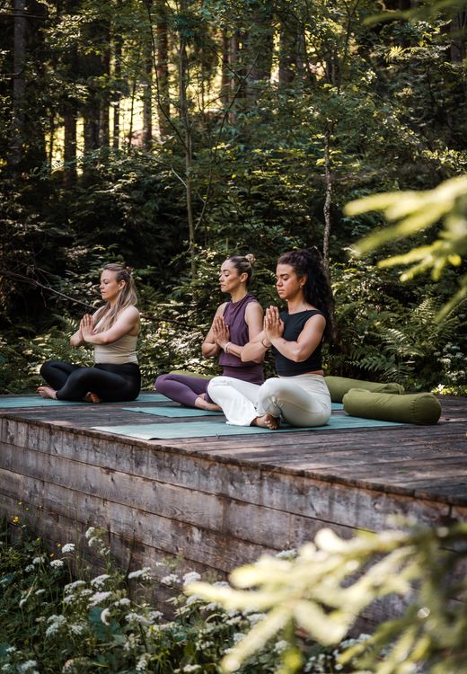 Yoga auf den Plattformen im Wald, umgeben von Natur im Frühling.