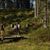 Pilze bestimmen mit Rupert