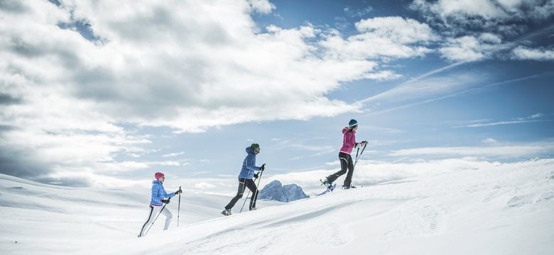 Luxury Hideaway & Spa Retreat Alpenpalace: “Tracks in the snow“ snow shoe hiking week