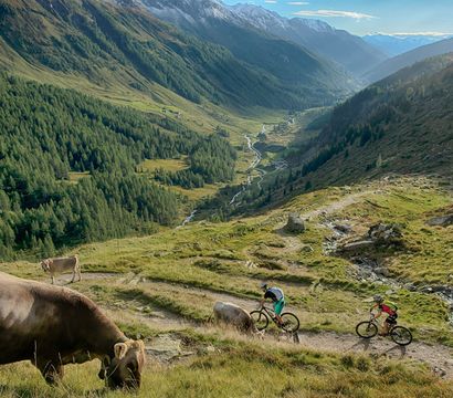 Angebot: Bergzeit – Wellnessauszeit 4 Tage (Sonntag bis Donnerstag) - Alpenpalace