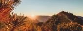 Herbstgenuss: 7 Nächte, nur 6 zahlen | 7=6