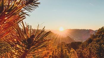 Autumn enjoyment: 7 nights, pay only 6 | 7=6