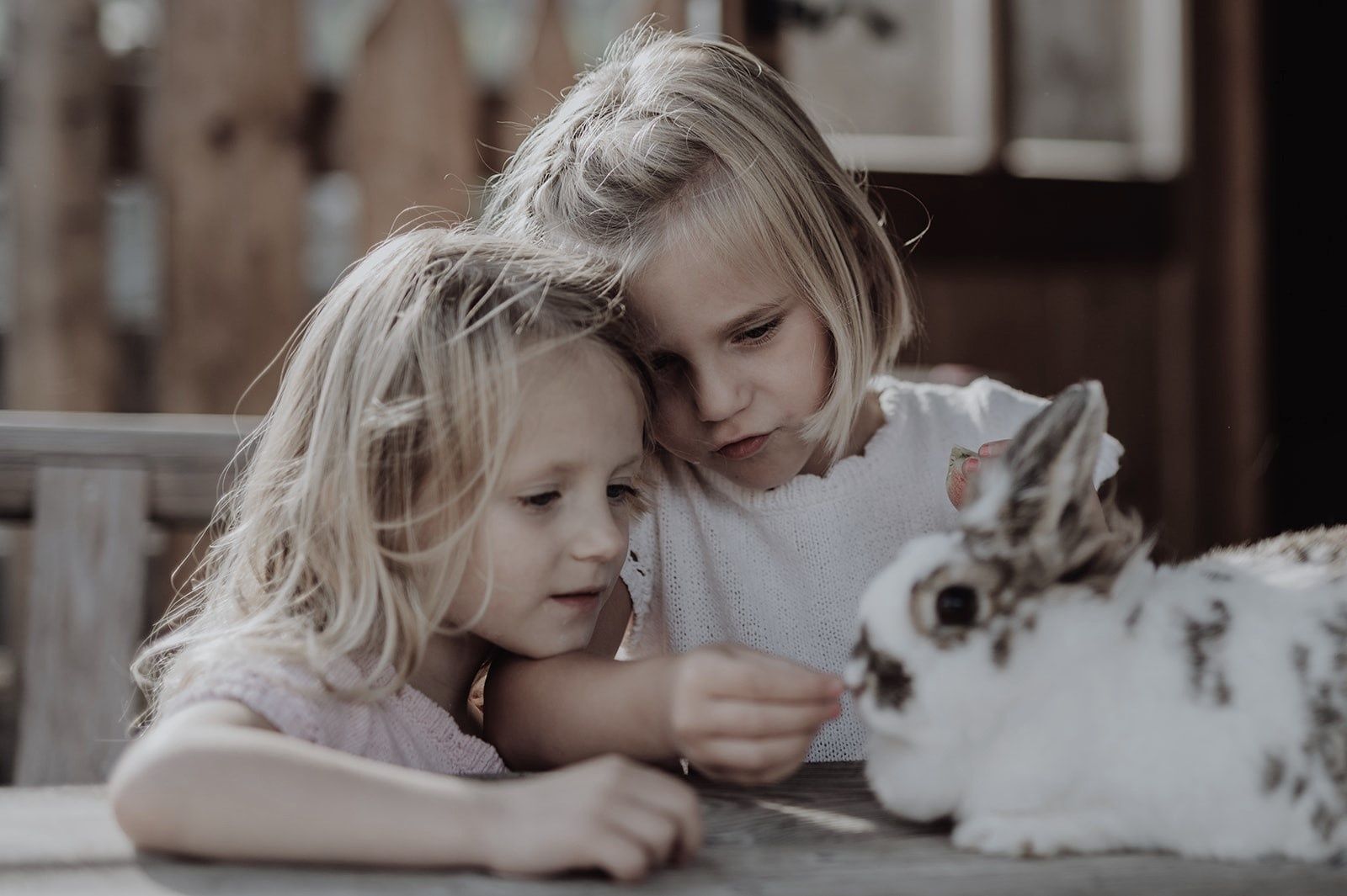 Osterhasi Special image 1 - Mia Alpina