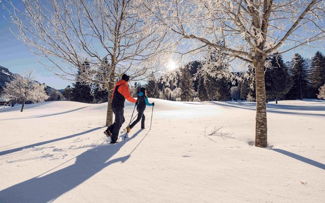 Winterwandern & Wellness - 4 Nächte