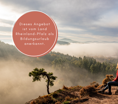 Offer: Resources for stress resilience: fasting, nutrition, exercise and relaxation - PFALZBLICK WALD SPA RESORT