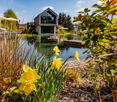 PFALZBLICK WALD SPA RESORT: Pfalzblick Special Deal