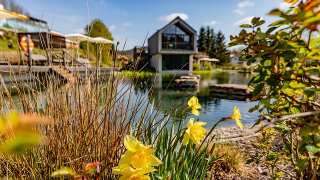 Pfalzblick Special Deal - 