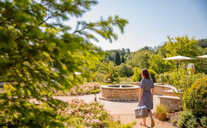 PFALZBLICK WALD SPA RESORT in Dahn, Rheinland-Pfalz, Deutschland - Bild #2