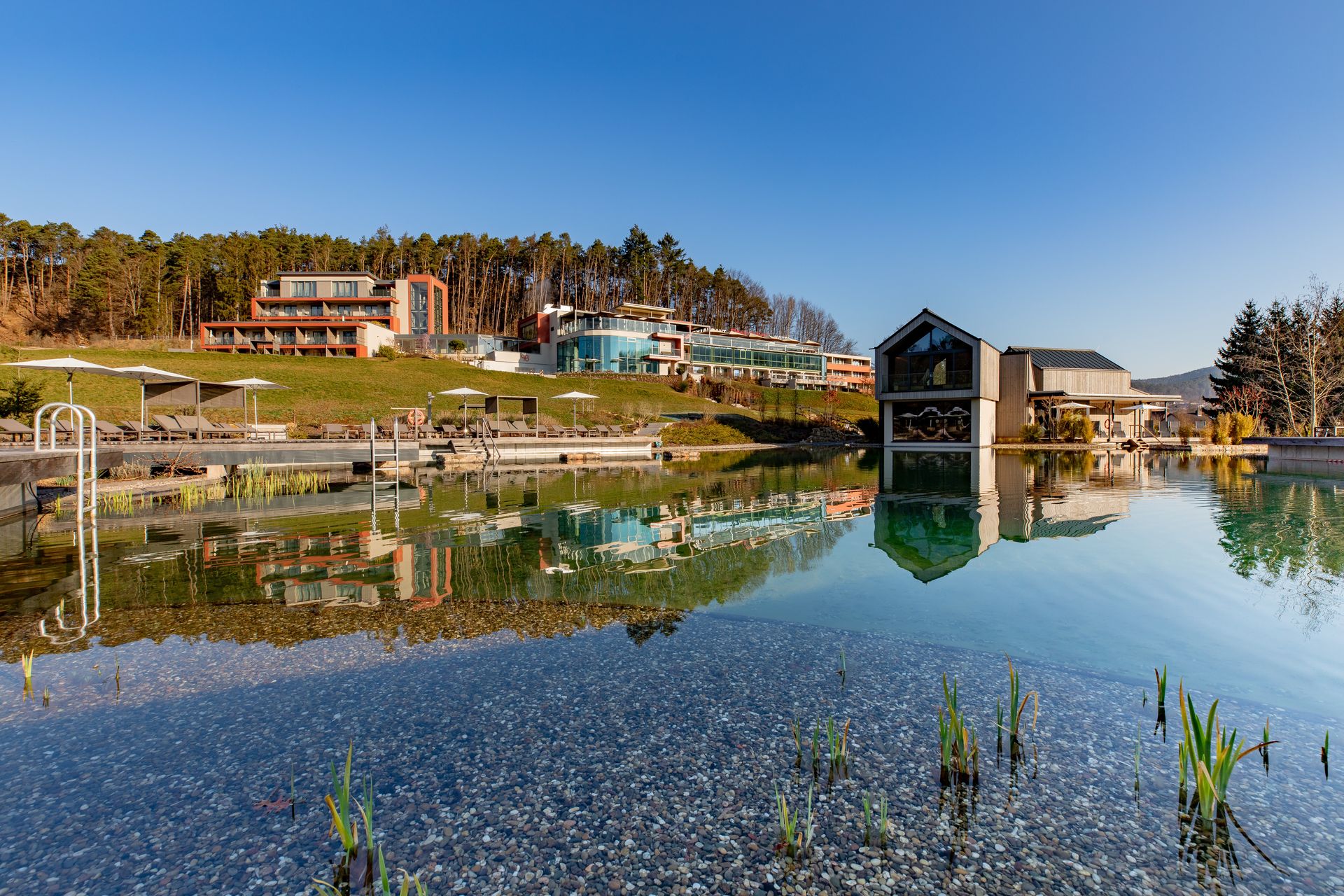 Ihr Familienhotel In Der Pfalz Pfalzblick Wald Spa Resort