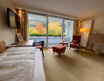 Romantik- & Wellnesshotel Deimann: Single Room