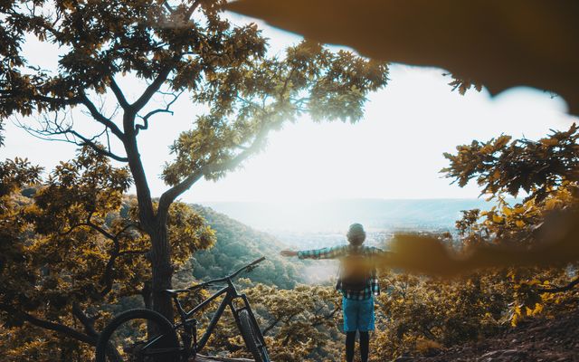 RadWellness im Donaubikeland