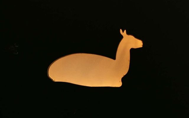 Unterkunft Zimmer/Appartement/Chalet: Doppelzimmer Lama