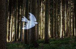 BIO HOTEL AmVieh-Theater: Wald der Bilder - AmVieh-Theater, Schwindegg, Münchner Raum, Bayern, Deutschland