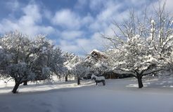 BIO HOTEL AmVieh-Theater: Hotel mit Winterlandschaft - AmVieh-Theater, Schwindegg, Münchner Raum, Bayern, Deutschland