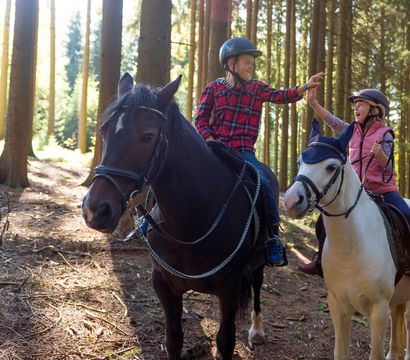 Familotel Bayerischer Wald ULRICHSHOF Nature · Family · Design: Lucky riders