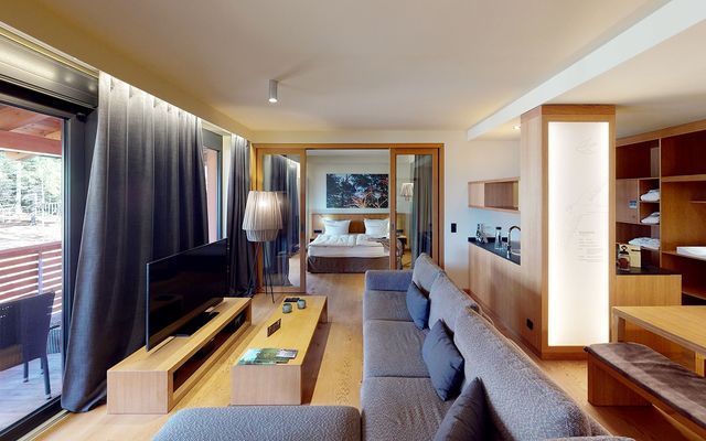 Unterkunft Zimmer/Appartement/Chalet: Luxus-Suite Hohen Bogen