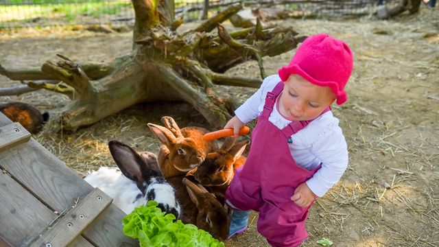 Glückliche Ostertage