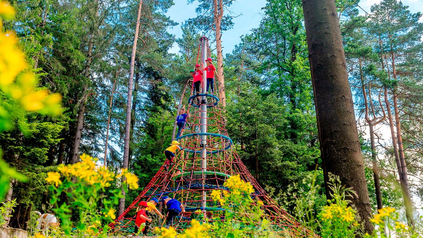 Der Kletterturm im Waldspielplatz - Familotel Bayerischer Wald ULRICHSHOF Nature · Family · Design