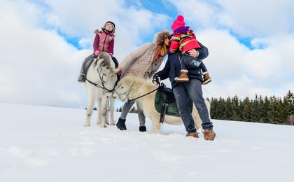 Ausritt im Winter mit der ganzen Familie