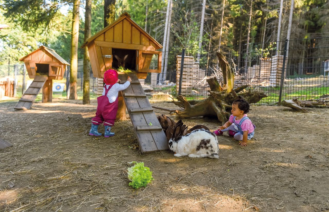 Streicheltiere im Waldspielplatz