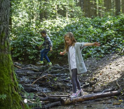 Familotel Bayerischer Wald ULRICHSHOF Nature · Family · Design: ULRICHSHOF Adventure Camp