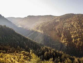 Biohotel Arche Urlaub in Kärnten Saualpe