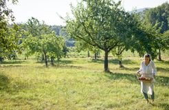 Biohotel Pausnhof: Obstwiese - Biohotel Pausnhof, St. Oswald, Bayerischer Wald, Bayern, Deutschland