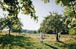 Biohotel Pausnhof: Apfel-Ernte - Biohotel Pausnhof, St. Oswald, Bayerischer Wald, Bayern, Deutschland