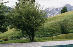 Bio Hotel Chesa Valisa: Außenpool mit Bergblick - Das Naturhotel Chesa Valisa****s, Hirschegg/Kleinwalsertal, Vorarlberg, Österreich