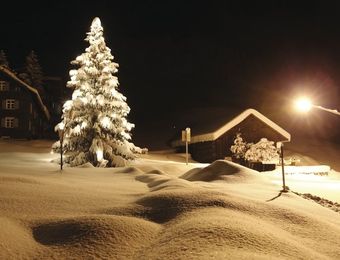 Biohotel Naturhotel Chesa Valisa Winterlandschaft mit Baum