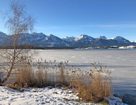 Angebot: Midweek-Special So + Mo - Biohotel Eggensberger